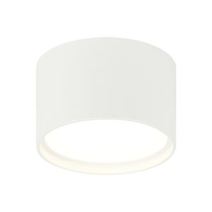 Caravon 1-Light LED Ceiling Mount in White