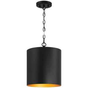 Knox  Pendant in Matte Black by Access