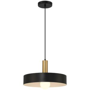 Slate  Pendant in Blackith Antique Brushed Brass by Access