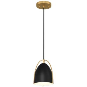 Axel  Pendant in Matte Black by Access