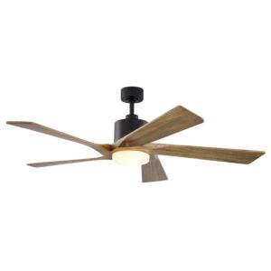 Wedgewood 60"Ceiling Fan in Black by Vaxcel