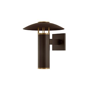 Birk  Wall Sconce in Patina Brass Bronze by Troy Lighting