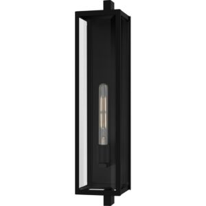 Dale  Outdoor Wall Lantern in Matte Black by Quoizel