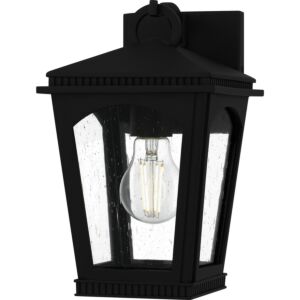 Huck  Outdoor Wall Lantern in Earth Black by Quoizel