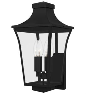 Quentin  Outdoor Wall Lantern in Earth Black by Quoizel