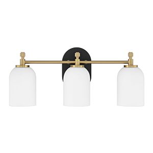 Council  Bathroom Vanity Light in Flat Black Satin Brass by Craftmade