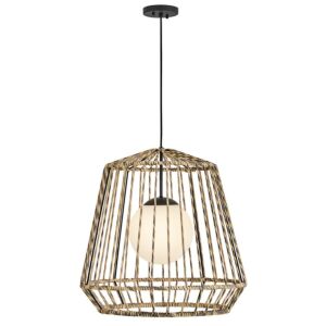 Arlen LED Hanging Lantern in Black by Hinkley