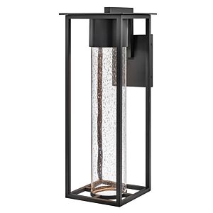 Hinkley Coen 1-Light Outdoor Light In Black