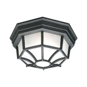 Outdoor Essentials 1-Light Flush Mount in Black