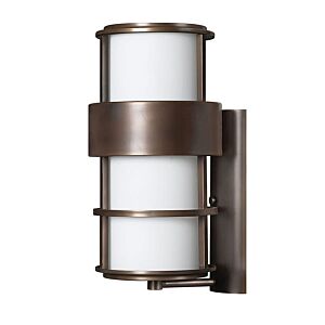 Hinkley Saturn 1-Light Outdoor Light In Metro Bronze