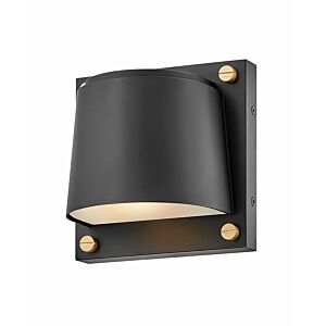 Hinkley Scout 1-Light Outdoor Light In Black