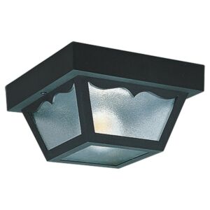 Generation Lighting Ceiling 2-Light 10 Outdoor Ceiling Light in Clear