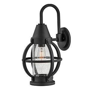 Hinkley Chatham 1-Light Outdoor Light In Museum Black