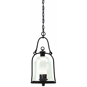 Owings Mill Three Light Hanging Lantern in Textured Black by Troy Lighting