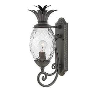 Hinkley Plantation 1-Light Outdoor Light In Museum Black