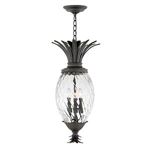 Hinkley Plantation 4-Light Outdoor Light In Museum Black