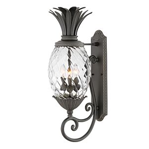 Hinkley Plantation 3-Light Outdoor Light In Museum Black