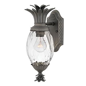 Hinkley Plantation 1-Light Outdoor Light In Museum Black