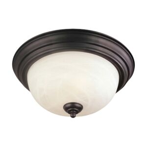 Ceiling Essentials  Flush Mount in Painted Bronze by ELK Home