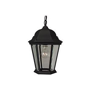 Craftmade Straight Glass 15" Outdoor Hanging Light in Textured Matte Black