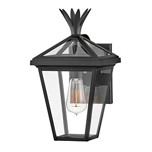 Hinkley Palma 1-Light Outdoor Light In Black