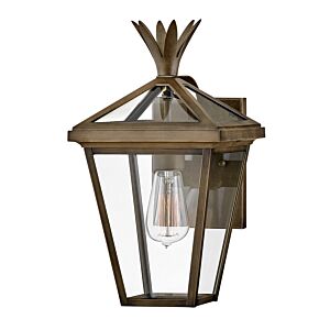 Hinkley Palma 1-Light Outdoor Light In Burnished Bronze