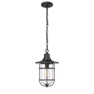 Millennium Lighting 1-Light Outdoor Hanging Lantern In Powder Coat Black