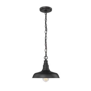 Millennium Lighting 1-Light Outdoor Hanging Lantern In Powder Coat Black