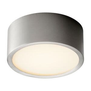 Peepers LED Ceiling Mount in Satin Nickel by Oxygen