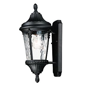 Sentry 1-Light Outdoor Wall Lantern in Black