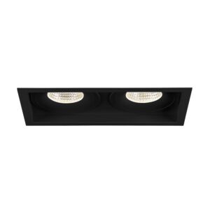 Eurofase Amigo 2-Light Recessed Light in Black