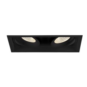 Eurofase Amigo 2-Light Recessed Light in Black