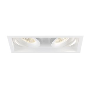 Eurofase Amigo 2-Light Recessed Light in White