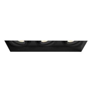 Eurofase Amigo 3-Light Ceiling Light in Black