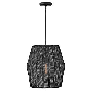 Hinkley Luca 1-Light Pendant In Black*