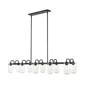 Z-Lite Delaney 10-Light Chandelier In Matte Black