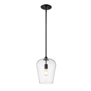 Z-Lite Joliet 1-Light Pendant Light In Matte Black