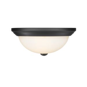 2-Light Ceiling Light in Matte Black