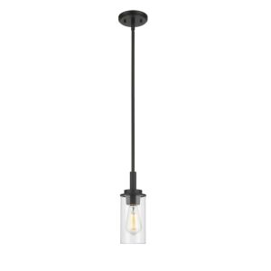 Janna 1-Light Mini Pendant in Matte Black