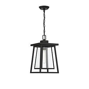 Denver One Light Outdoor Hanging Lantern in Matte Black by Savoy House