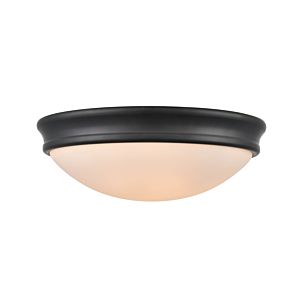  Ceiling Light in Matte Black