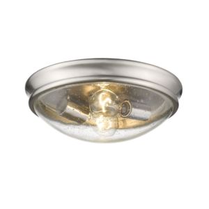 2-Light Ceiling Light