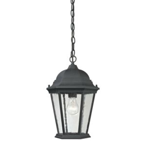 Temple Hill  Hanging Lantern in Matte Textured Black by ELK Home