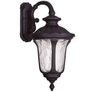 Oxford 1-Light Outdoor Wall Lantern in Bronze