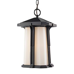 Z-Lite Harbor Lane 1-Light Outdoor Chain Mount Ceiling Fixture Light In Black