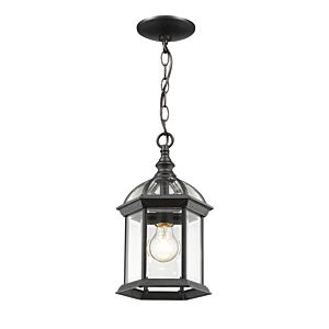 Z-Lite Annex 1-Light Outdoor Chain Mount Ceiling Fixture Light In Black