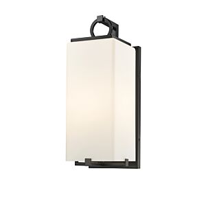 Z-Lite Sana 1-Light Outdoor Wall Sconce In Black