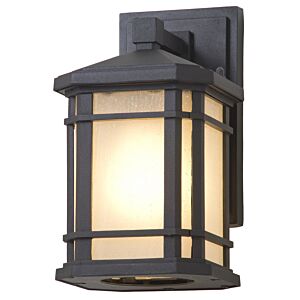 Cardiff Outdoor 1-Light Outdoor Wall Sconce in Black