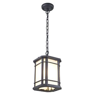 Cardiff Outdoor 1-Light Outdoor Pendant in Black