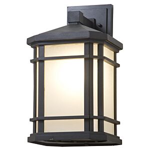 Cardiff Outdoor 1-Light Outdoor Wall Sconce in Black